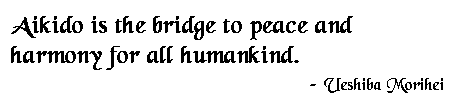 Aikido is the bridge to peace and harmony for all humankind. - Ueshiba Morihei